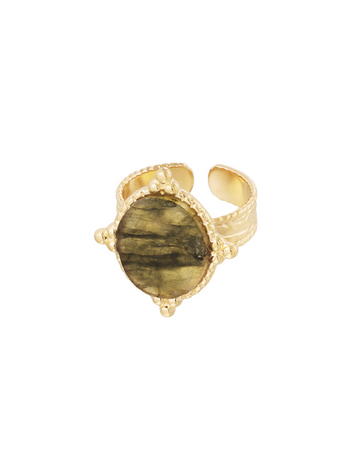 Vores Delara guld ring er med den smukkeste store sten!  Denne ring er til dig, der virkelig elsker, at pifte dit look op med unikke smykker.  Alle vores ringe er justerbare og kan derfor passes af alle. Materiale: Overfladebehandlet rustfri stål, 14 karat guldbelægning, sten. 100% nikkelfri Størrelse: Justerbar