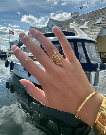 Emmy ring